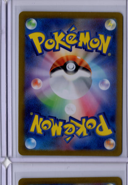 Tatsugiri 186 2024 Pokemon Scarlet & Violet Twilight Masquerade English NM
