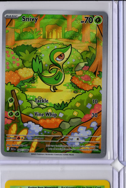 Snivy #87 2025 Pokemon Scarlet & Violet Black Bolt Near Mint