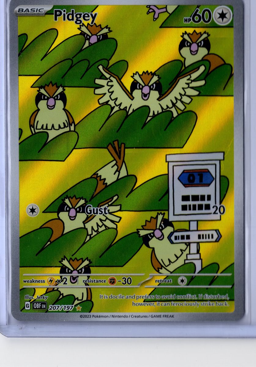Pidgey - 207/197 - Pokemon Obsidian Flames - NM