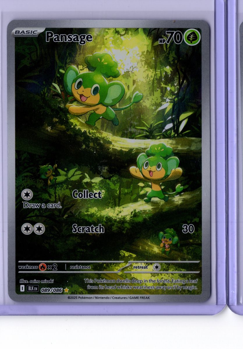 Pansage 89 2025 Pokemon Scarlet & Violet Black Bolt - English NM