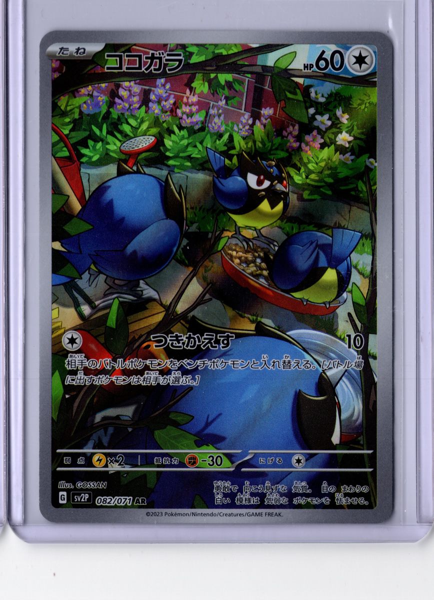 Rookidee - - 2023 Pokemon Scarlet & Violet Paldea Evolved - NM